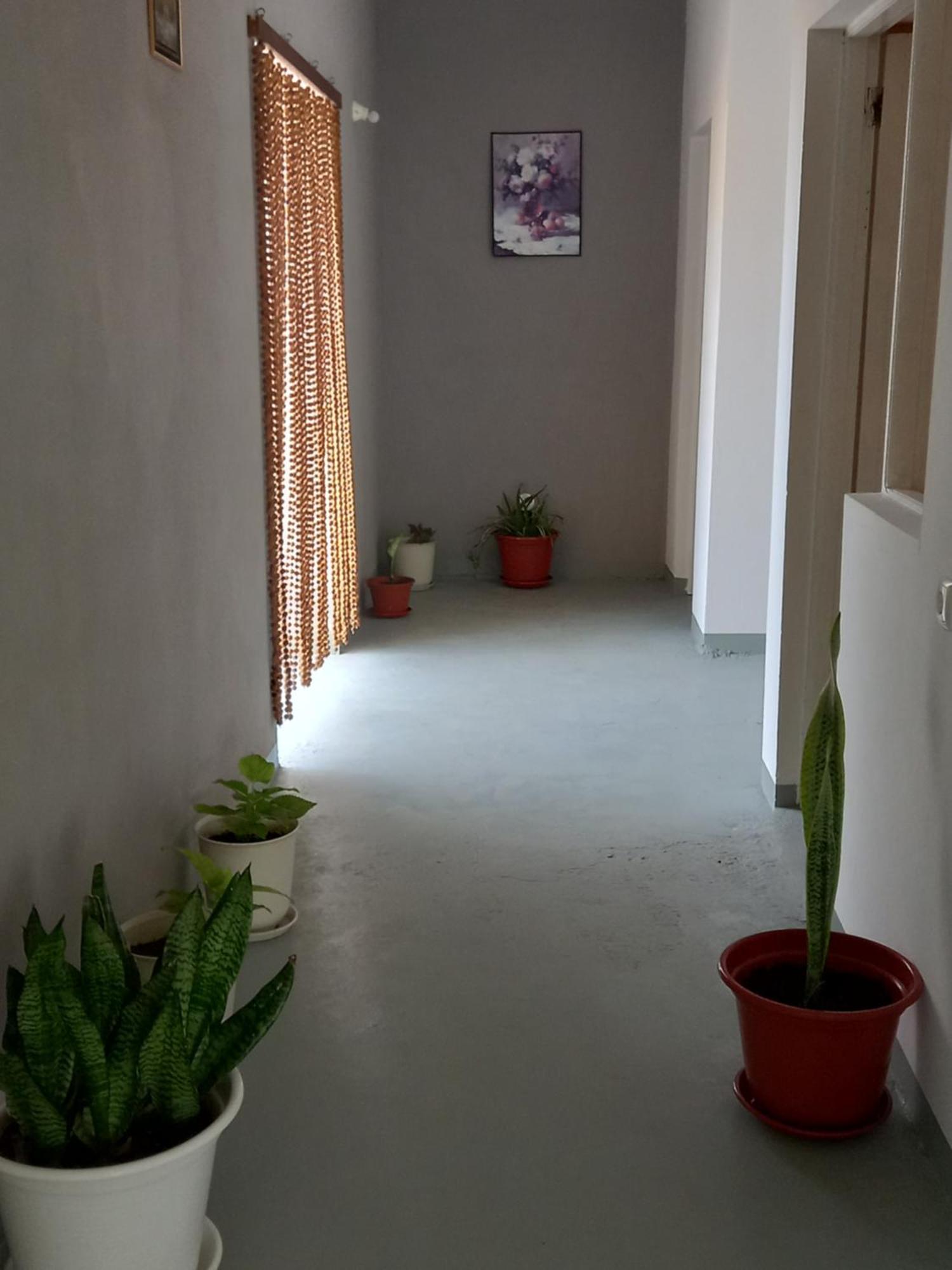 Residencial Rosa Criola Bed & Breakfast Sal Rei Exterior photo